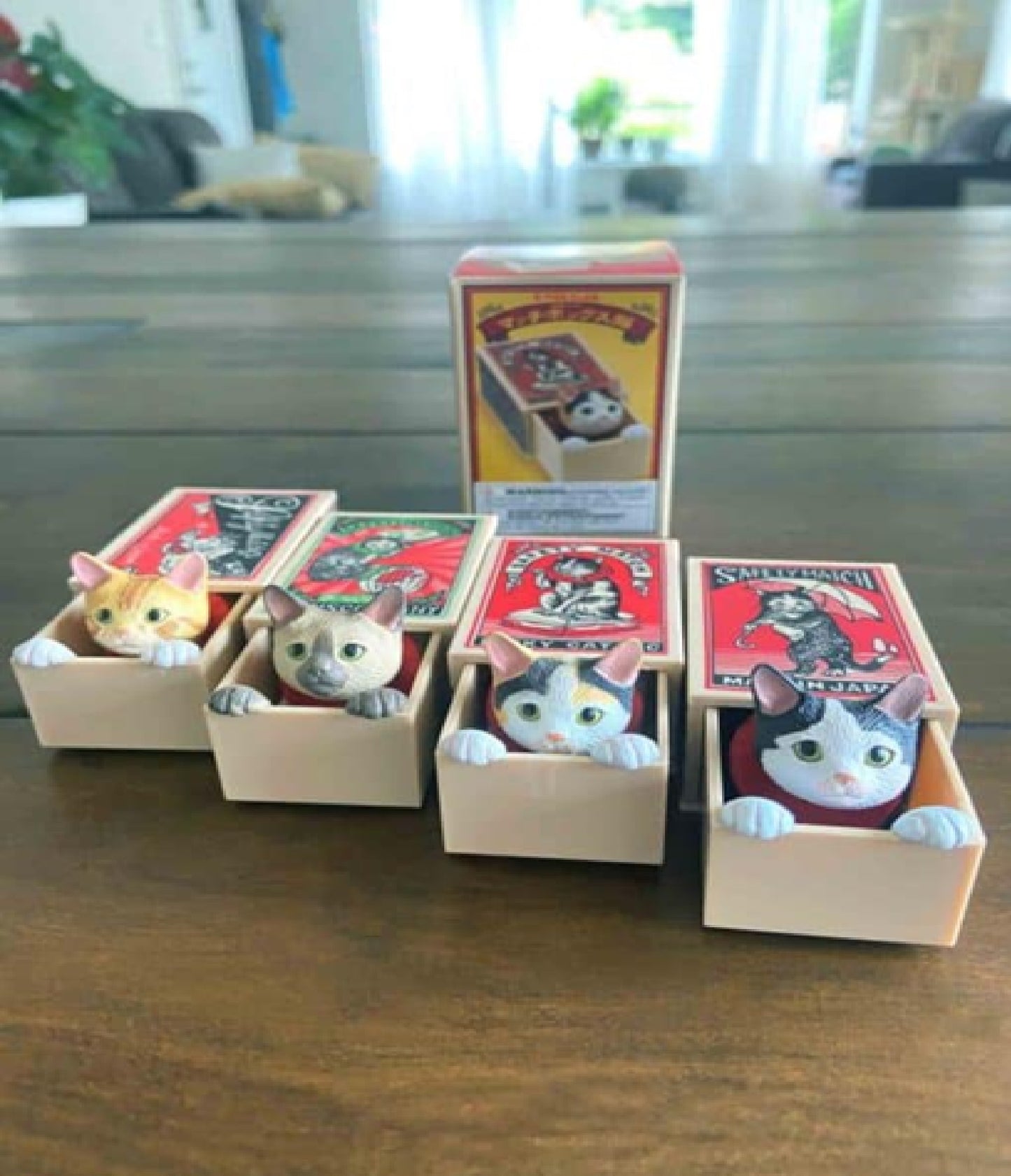 Cat Peek Matchbox Blind Box