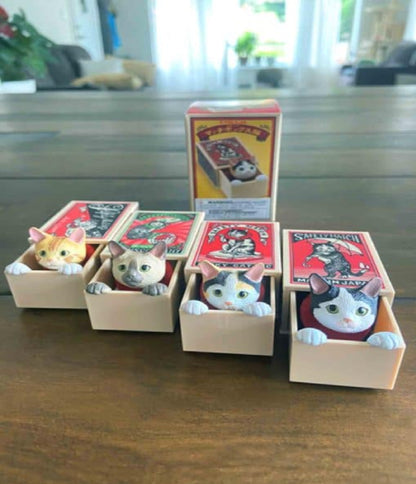 Cat Peek Matchbox Blind Box