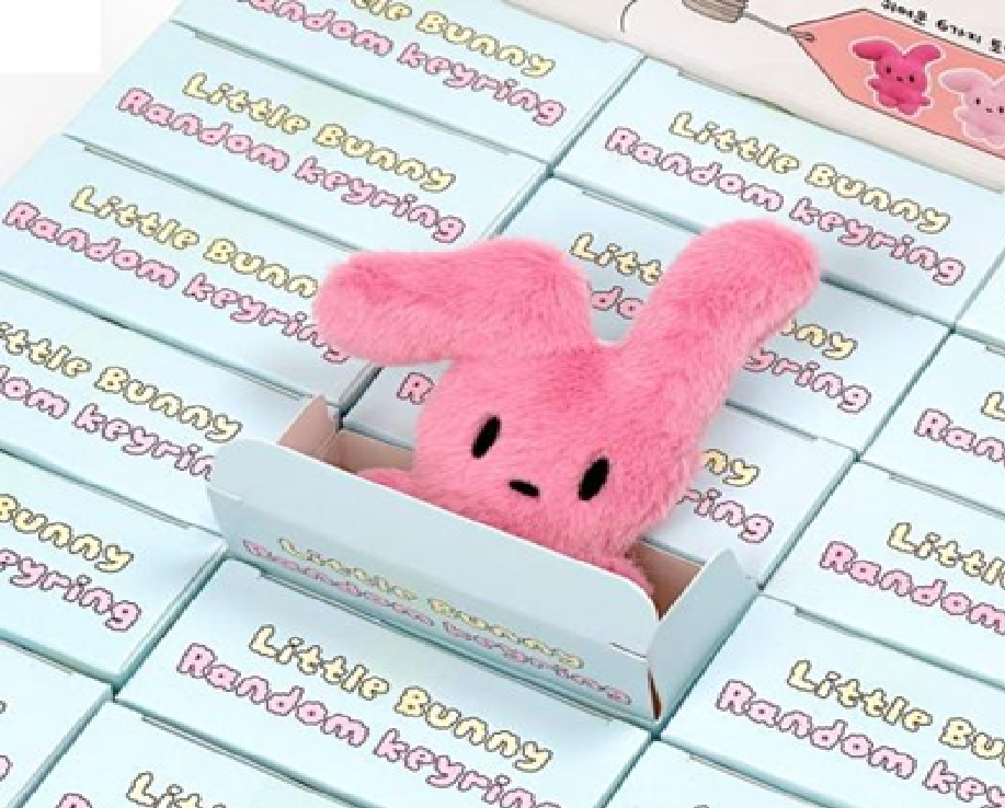 Blind Box Little Bunny Random Keyring